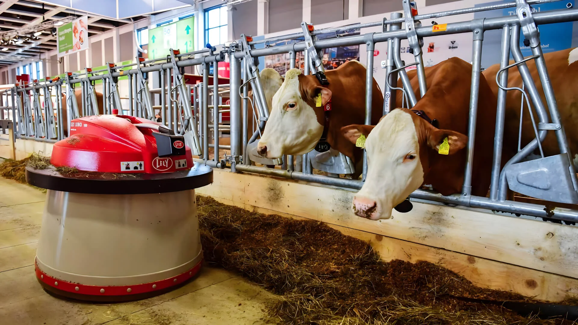 Сельскохозяйственное производство животных. Оборудование для молочного животноводства. Роботы в животноводстве. Современные фермы для коров. Механизация животноводства.